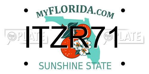 ITZR71 Florida License Plate