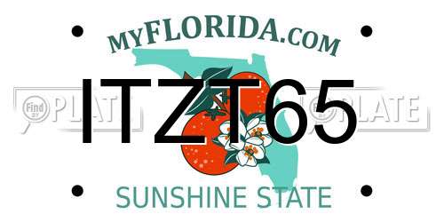 ITZT65 Florida License Plate