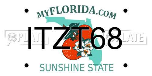 ITZT68 Florida License Plate
