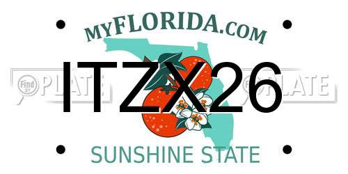 ITZX26 Florida License Plate