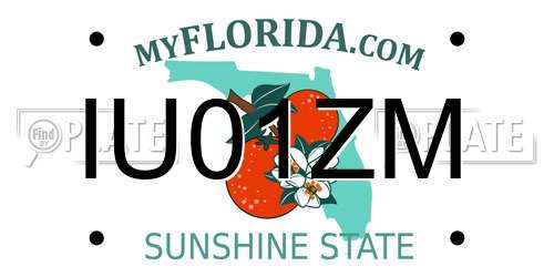 IU01ZM Florida License Plate