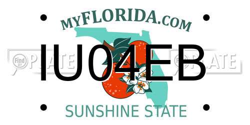 IU04EB Florida License Plate