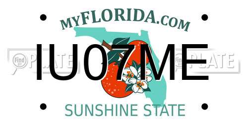 IU07ME Florida License Plate