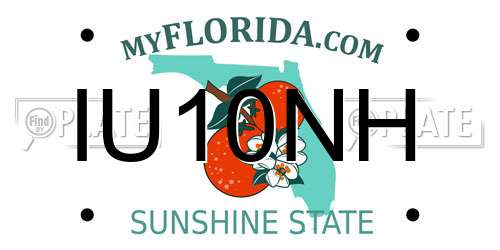 IU10NH Florida License Plate