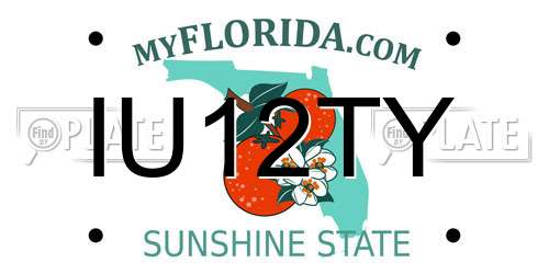 IU12TY Florida License Plate