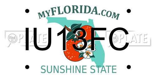 IU13FC Florida License Plate
