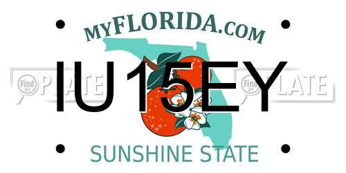 IU15EY Florida License Plate