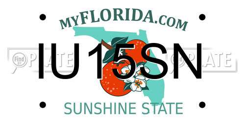 IU15SN Florida License Plate