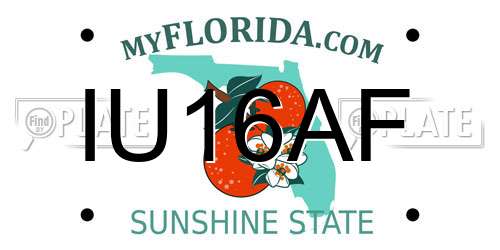 IU16AF Florida License Plate