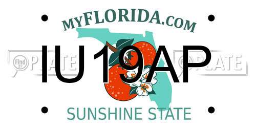IU19AP Florida License Plate