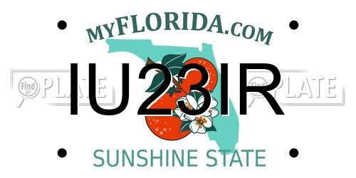 IU23IR Florida License Plate
