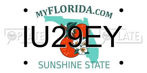 IU29EY Florida License Plate