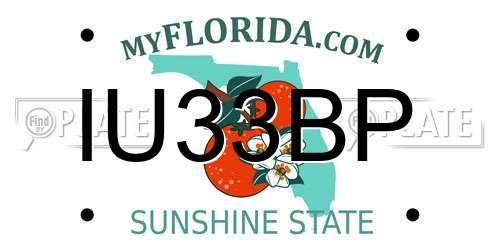 IU33BP Florida License Plate