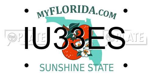 IU33ES Florida License Plate