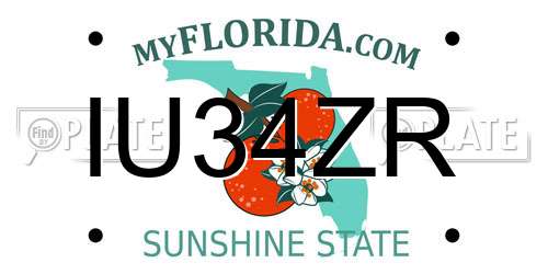 IU34ZR Florida License Plate