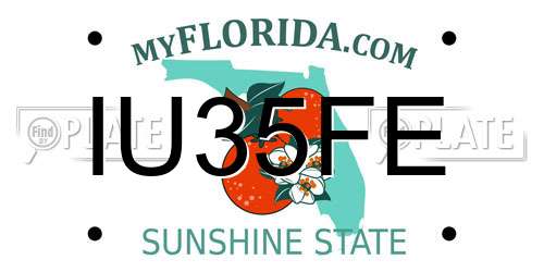 IU35FE Florida License Plate