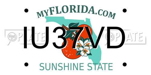 IU37VD Florida License Plate
