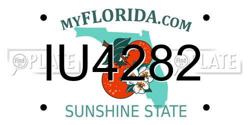 IU4282 Florida License Plate