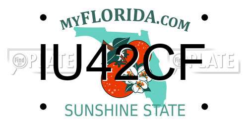 IU42CF Florida License Plate