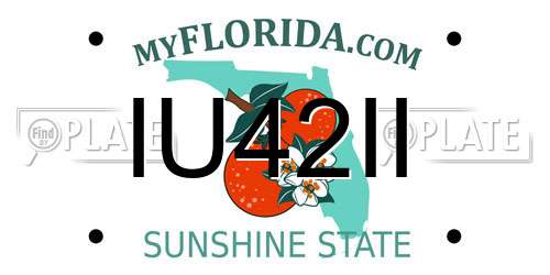 IU42II Florida License Plate