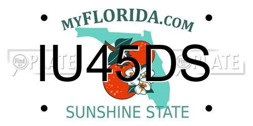 IU45DS Florida License Plate