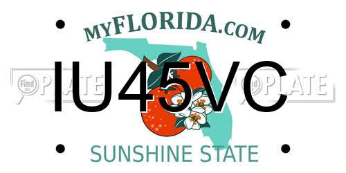 IU45VC Florida License Plate