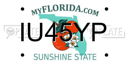 IU45YP Florida License Plate
