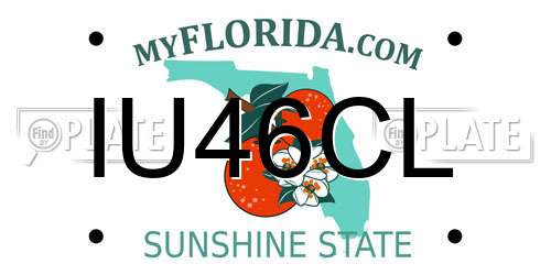 IU46CL Florida License Plate