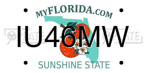 IU46MW Florida License Plate