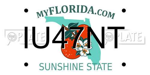 IU47NT Florida License Plate