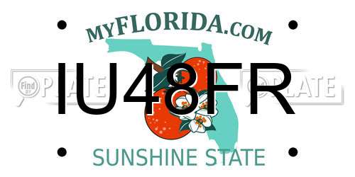 IU48FR Florida License Plate