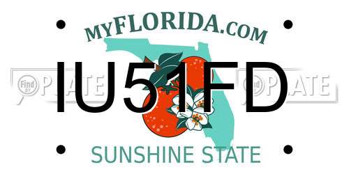 IU51FD Florida License Plate