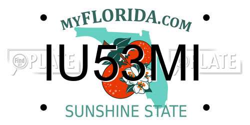 IU53MI Florida License Plate