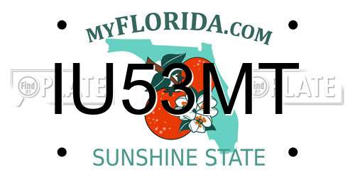 IU53MT Florida License Plate