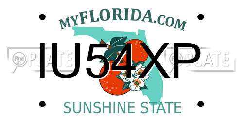 IU54XP Florida License Plate