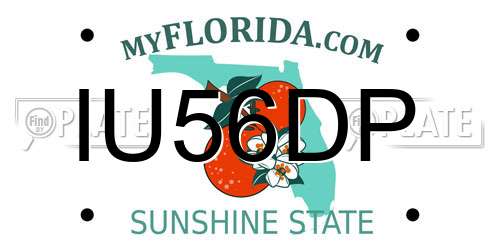 IU56DP Florida License Plate