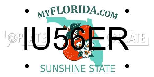 IU56ER Florida License Plate