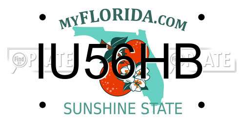 IU56HB Florida License Plate