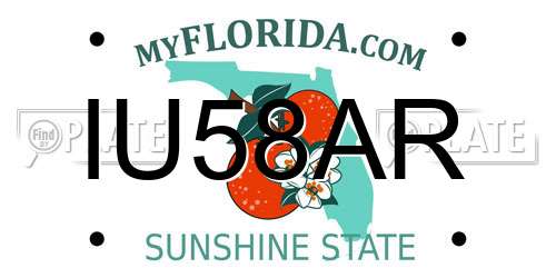IU58AR Florida License Plate