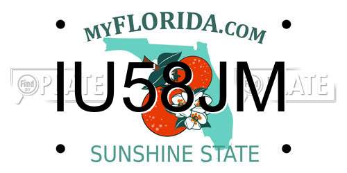 IU58JM Florida License Plate