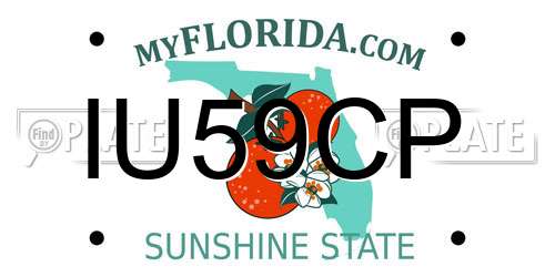 IU59CP Florida License Plate