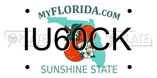 IU60CK Florida License Plate