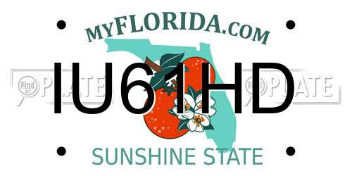 IU61HD Florida License Plate