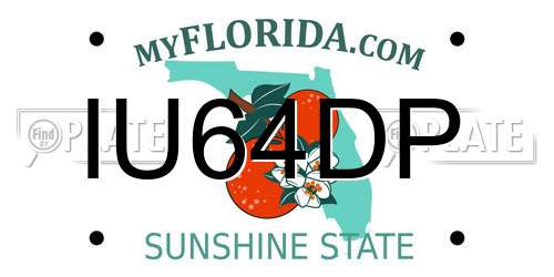 IU64DP Florida License Plate
