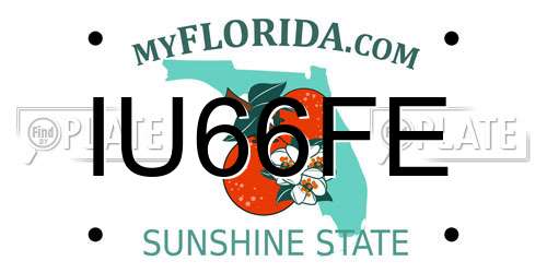 IU66FE Florida License Plate