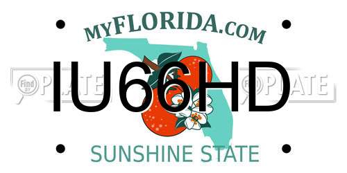 IU66HD Florida License Plate