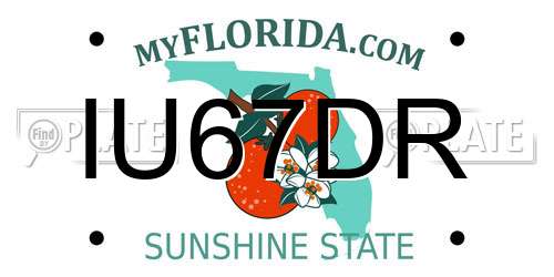 IU67DR Florida License Plate
