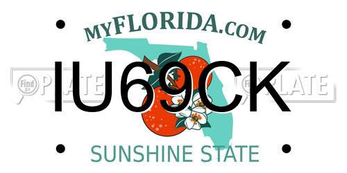 IU69CK Florida License Plate