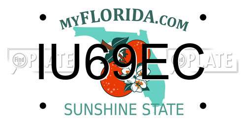 IU69EC Florida License Plate