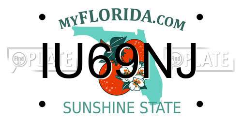 IU69NJ Florida License Plate